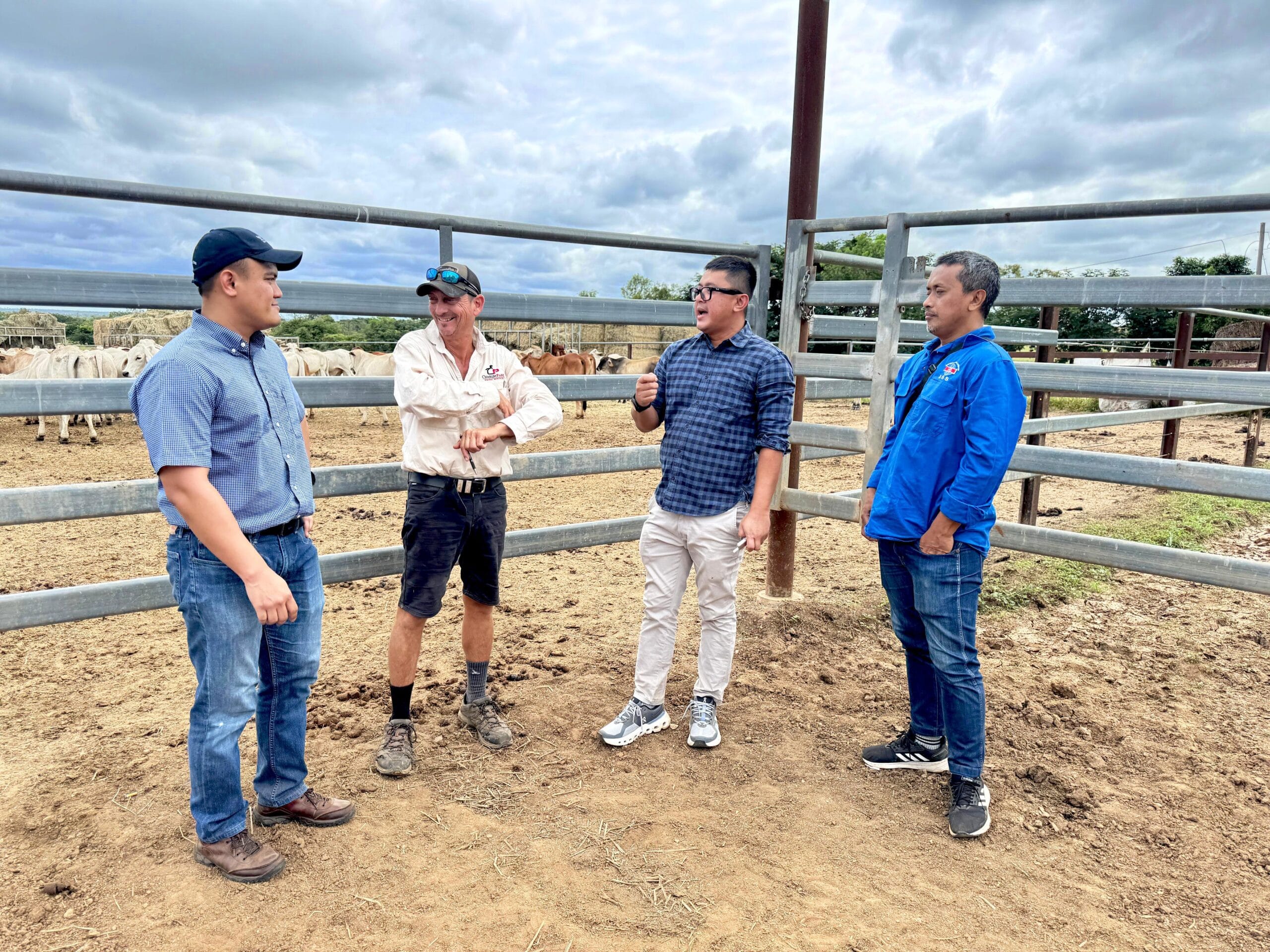 Dharma Jaya Impor Sapi untuk Stabilisasi Harga Daging