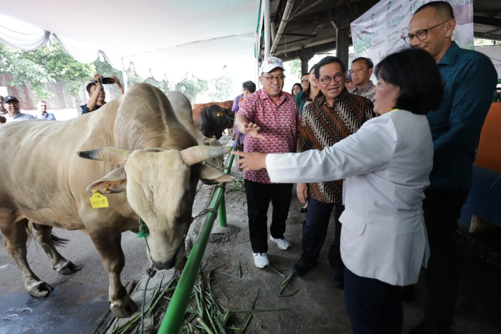 Dharma Jaya Siapkan 1.241 Ekor Sapi Kurban Sambut Idul Adha 1446 H