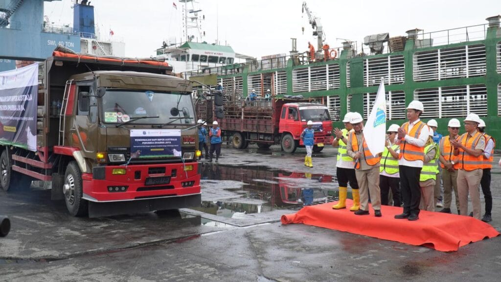 3.139 Ekor Sapi Sudah Didatangkan Secara Mandiri oleh Dharma Jaya untuk Amankan Stok Pangan Jakarta