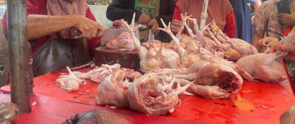 Dharma Jaya Gandeng Penyewa RPH Pulogadung Tekan Harga Ayam Hidup